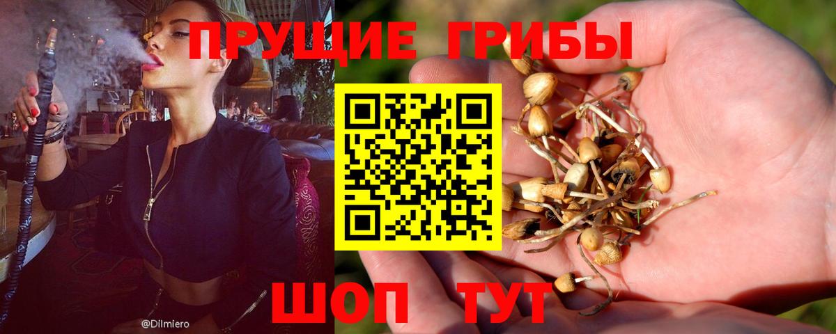 Псилоцибиновые грибы MAGIC MUSHROOMS Уссурийск